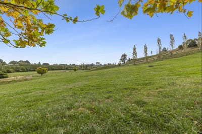 /international/nz/187-judge-road-rotoorangi-waipa-380066091459/