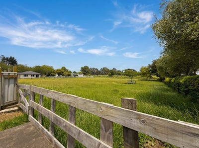 /international/nz/tokoroa-south-waikato-380066103703/