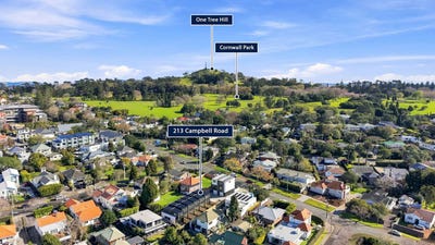 /international/nz/213-campbell-road-greenlane-auckland-city-380066177228/