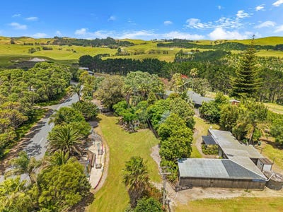 /international/nz/dargaville-kaipara-380066146978/