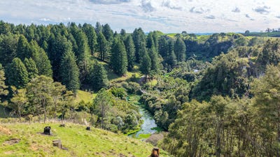 /international/nz/0-leslie-road-putaruru-south-waikato-380066098104/