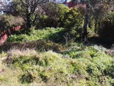 /international/nz/21-currie-street-port-chalmers-dunedin-city-380066077109/