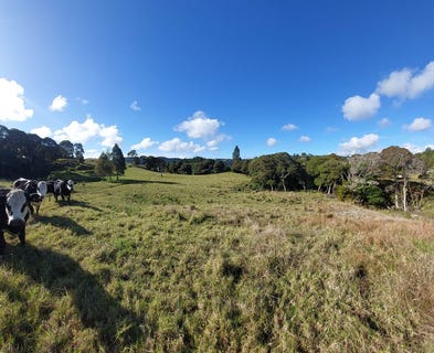 /international/nz/2084-waiare-road-kaeo-far-north-380066085232/