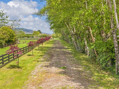 /international/nz/levin-horowhenua-380066099203/