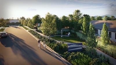 /international/nz/springlands-marlborough-380066097878/