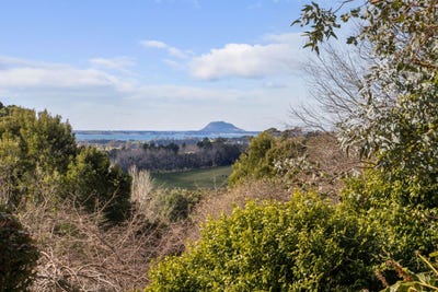 /international/nz/173-thompsons-track-katikati-western-bay-of-plenty-380066184273/