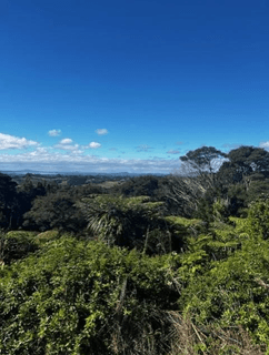 /international/nz/50-kitewaho-road-swanson-waitakere-city-380066091971/