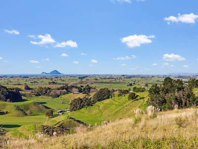 /international/nz/32-rangipare-lane-matata-whakatane-380066120851/