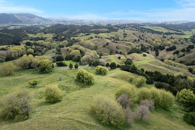 /international/nz/0-kirikopuni-road-kokopu-whangarei-380066095583/