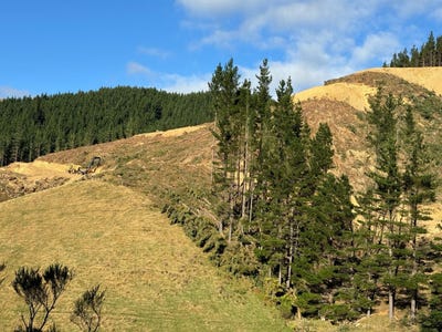 /international/nz/127-russells-road-whitemans-valley-upper-hutt-city-380066078343/