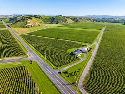 /international/nz/2290-state-highway-50-roys-hill-hastings-380066179592/