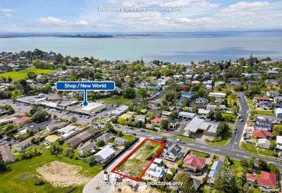 /international/nz/83-godley-road-green-bay-waitakere-city-380066098874/