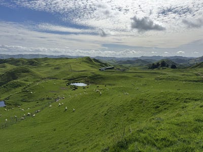 /international/nz/tiriraukawa-road-taihape-and-surrounds-rangitikei-380066079936/