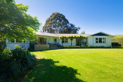 /international/nz/1519-marama-road-seddon-marlborough-380066077802/