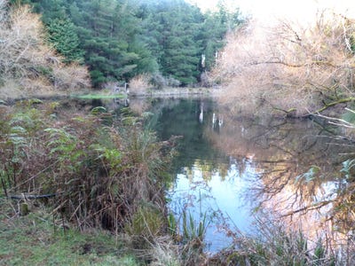 /international/nz/1500-brydone-glencoe-road-winton-surrounds-southland-380066083772/