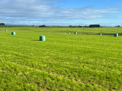 /international/nz/165-orr-road-waimatua-invercargill-city-380066120287/