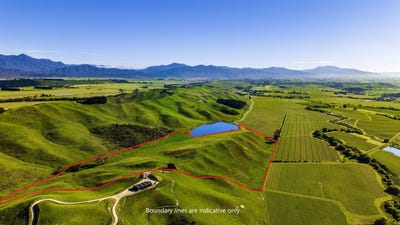 /international/nz/fairhall-marlborough-380066083279/
