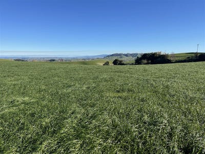 /international/nz/te-awamutu-waipa-380066105778/
