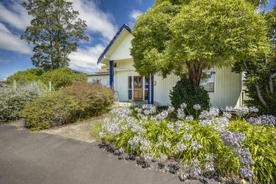 /international/nz/302-southampton-street-west-hastings-hawkes-bay-380066133654/