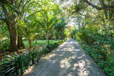 /international/nz/638-ngunguru-road-glenbervie-whangarei-380066095827/