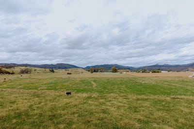 /international/nz/137-matchitt-road-opotiki-and-surrounds-opotiki-380066079767/