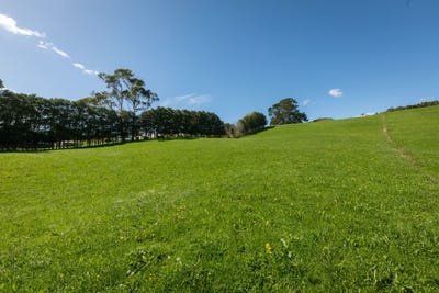/international/nz/730-waitawheta-road-waihi-hauraki-380066083395/