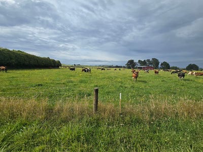 /international/nz/eltham-south-taranaki-380066078907/