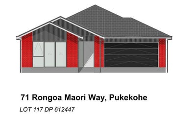 /international/nz/71-rongoa-maori-way-pukekohe-franklin-380066178452/