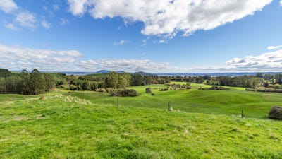 /international/nz/206-state-highway-30-tikitere-rotorua-380066078807/