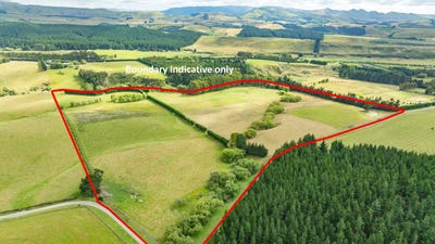 /international/nz/421-cramptons-bush-road-amberley-hurunui-380066075837/
