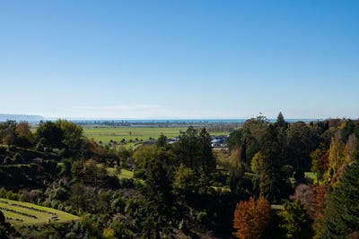 /international/nz/86-oak-road-poraiti-napier-city-380066097672/