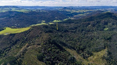 /international/nz/allot-155-77-goshen-valley-road-mangonui-far-north-380066120933/