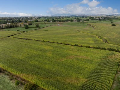 /international/nz/te-kowhai-waikato-380066082758/