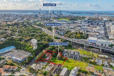 /international/nz/epsom-auckland-city-380066077854/