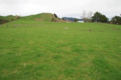 /international/nz/1381-mangaehu-road-pohokura-and-surrounds-stratford-380066080263/