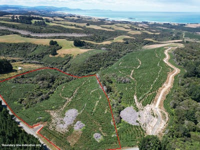 /international/nz/530-taieri-beach-road-taieri-mouth-clutha-380066091820/