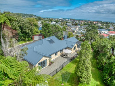 /international/nz/greymouth-grey-380066089273/