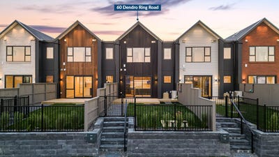 /international/nz/dendro-ring-road-milldale-rodney-380066092654/