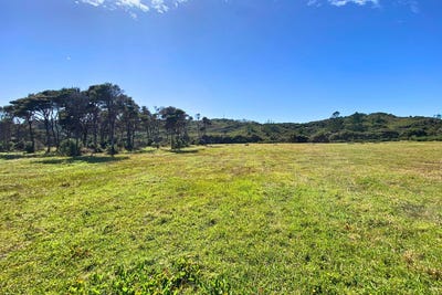 /international/nz/161-wharariki-road-collingwood-tasman-380066114594/