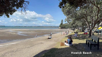 /international/nz/baird-street-howick-manukau-city-380066081439/
