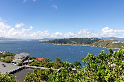 /international/nz/149-te-anau-road-hataitai-wellington-city-380066109427/