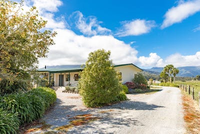 /international/nz/1084-nikau-road-seddonville-buller-380066098188/