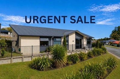 /international/nz/sapling-lane-glenview-waikato-380066102669/