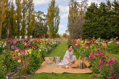 /international/nz/58-moroa-road-featherston-south-wairarapa-380066076729/