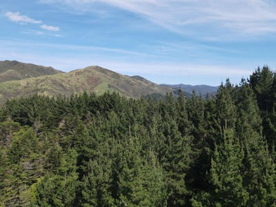 /international/nz/353-pretoria-road-shannon-horowhenua-380066076892/