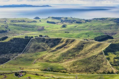 /international/nz/0-te-moho-road-taipa-far-north-380066165273/