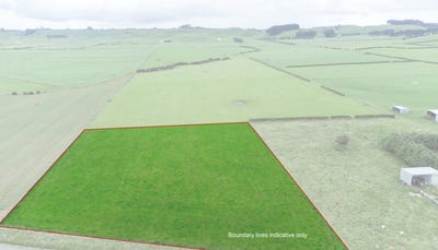 /international/nz/eltham-south-taranaki-380066119231/