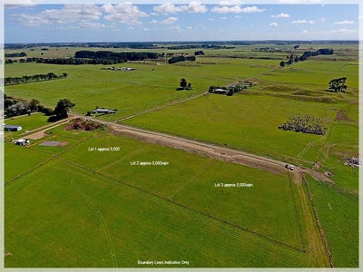 /international/nz/foxton-horowhenua-380066174390/