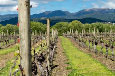 /international/nz/54-bell-road-brightwater-tasman-380066076933/