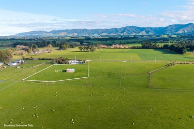 /international/nz/dannevirke-tararua-380066168403/
